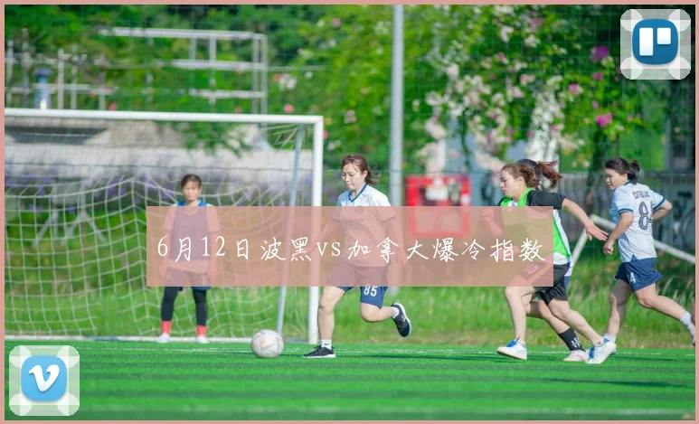 6月12日波黑vs加拿大爆冷指数