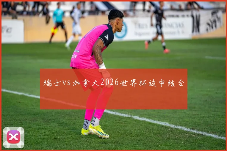 瑞士vs加拿大2026世界杯边中结合
