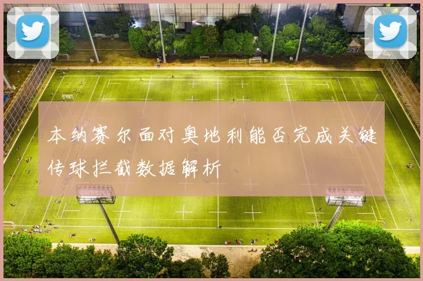 本纳赛尔面对奥地利能否完成关键传球拦截数据解析