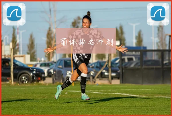 葡体排名冲刺