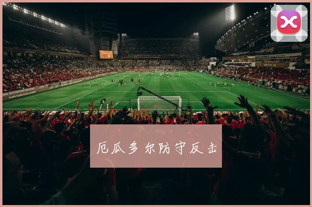 厄瓜多尔防守反击