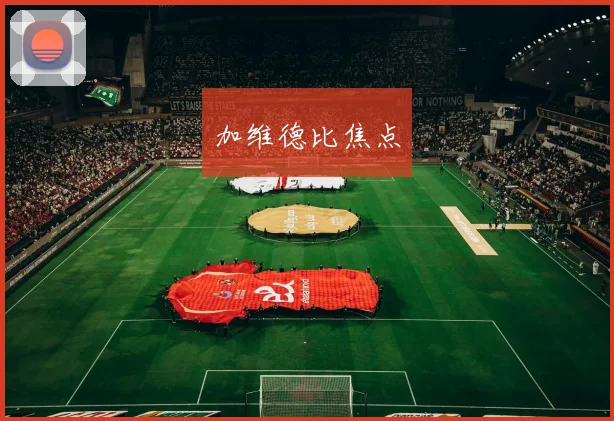 加维德比焦点