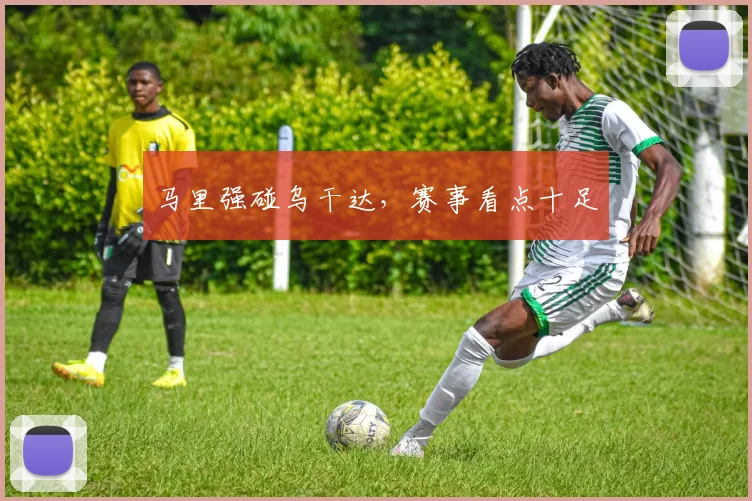 马里强碰乌干达，赛事看点十足