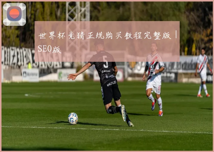 世界杯竞猜正规购买教程完整版｜SEO版