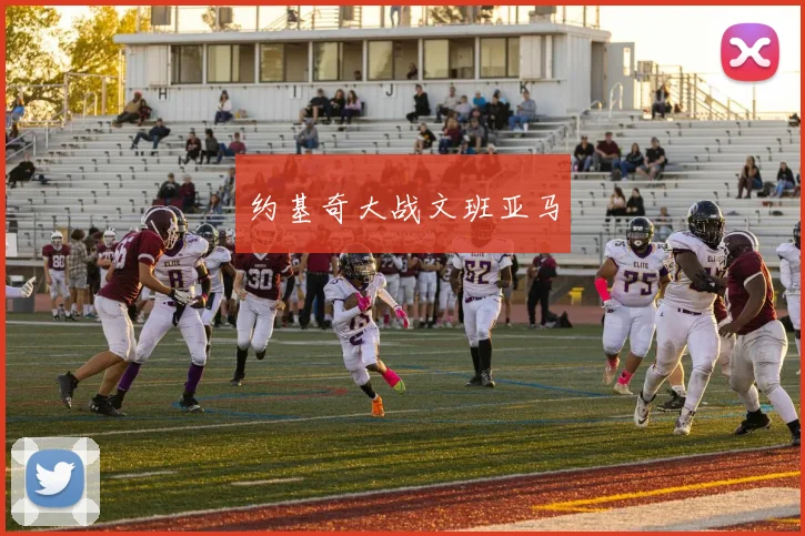 约基奇大战文班亚马