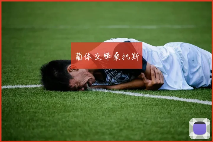 葡体交锋桑托斯