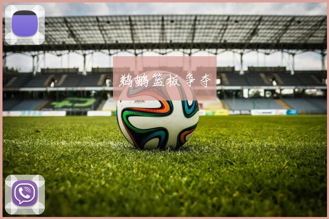 鹈鹕篮板争夺