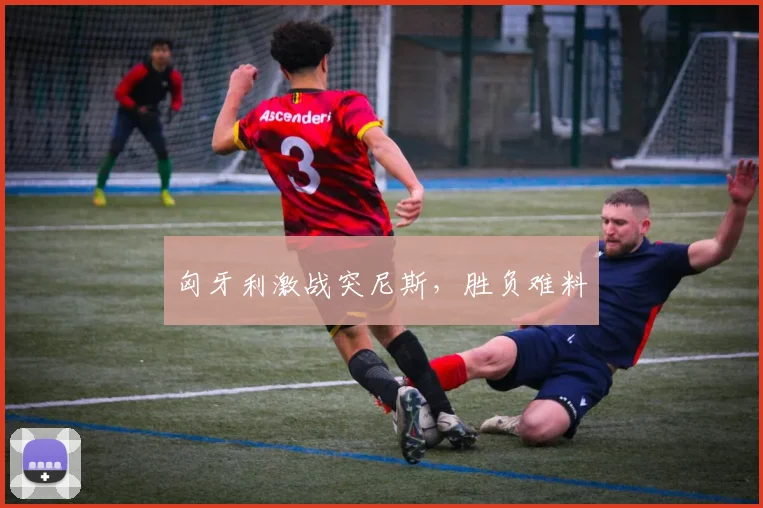 匈牙利激战突尼斯，胜负难料