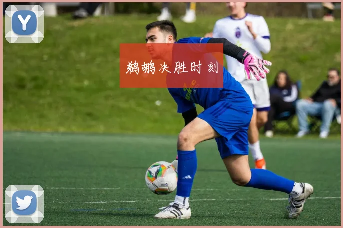 鹈鹕决胜时刻