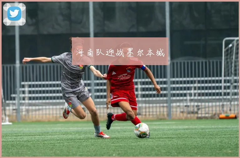 河南队迎战墨尔本城