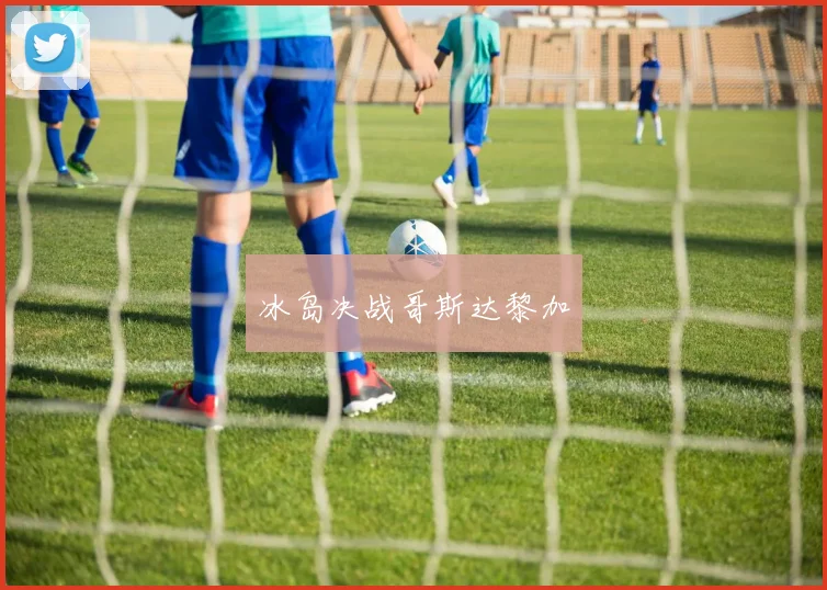 冰岛决战哥斯达黎加