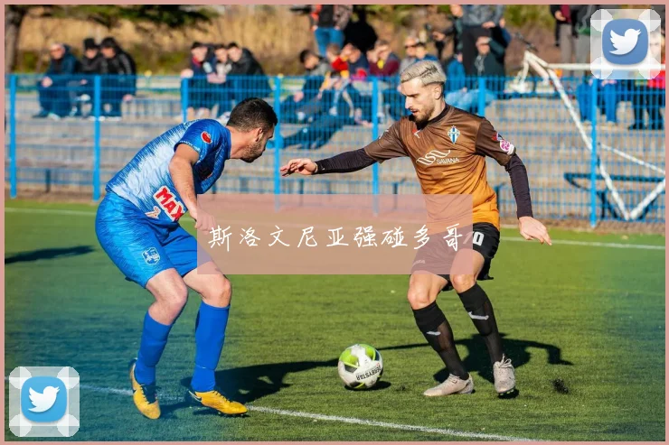 斯洛文尼亚强碰多哥