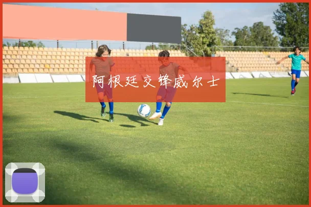 阿根廷交锋威尔士