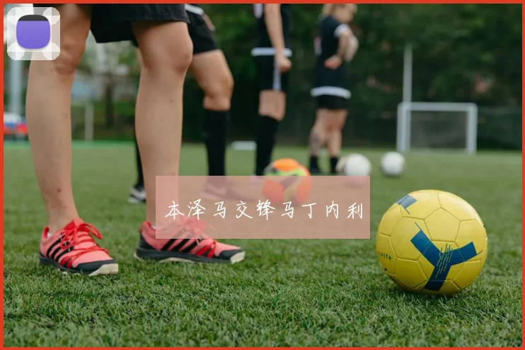 本泽马交锋马丁内利