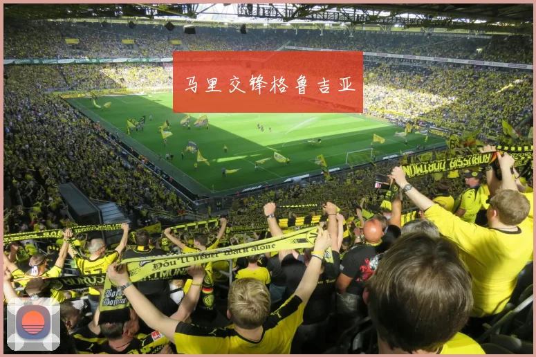 马里交锋格鲁吉亚