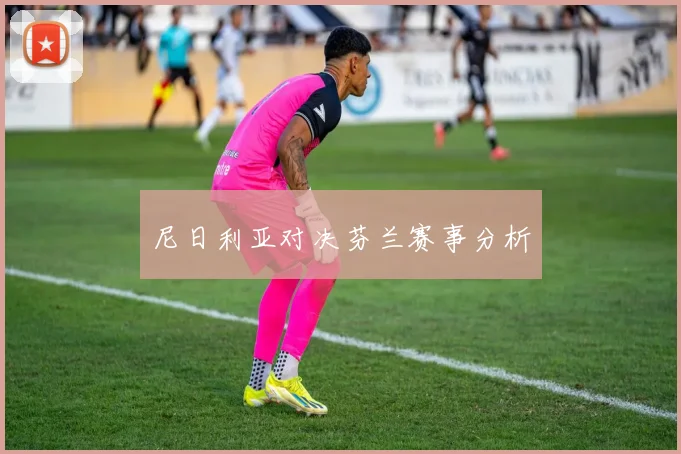 尼日利亚对决芬兰赛事分析