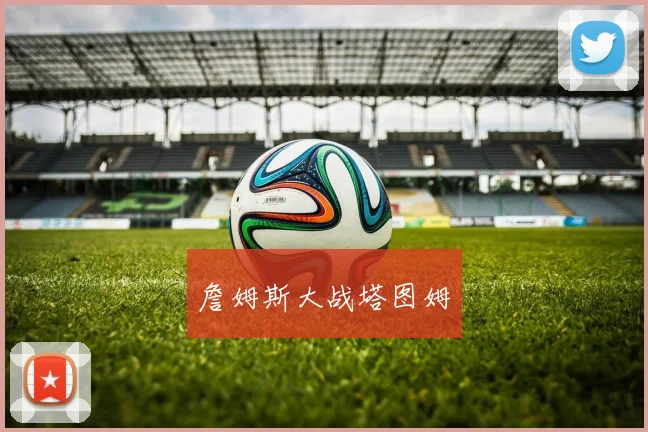 詹姆斯大战塔图姆
