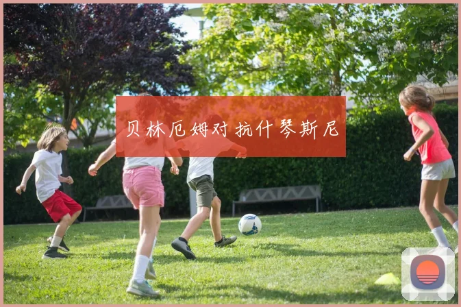 贝林厄姆对抗什琴斯尼