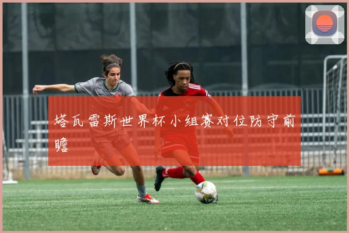塔瓦雷斯世界杯小组赛对位防守前瞻