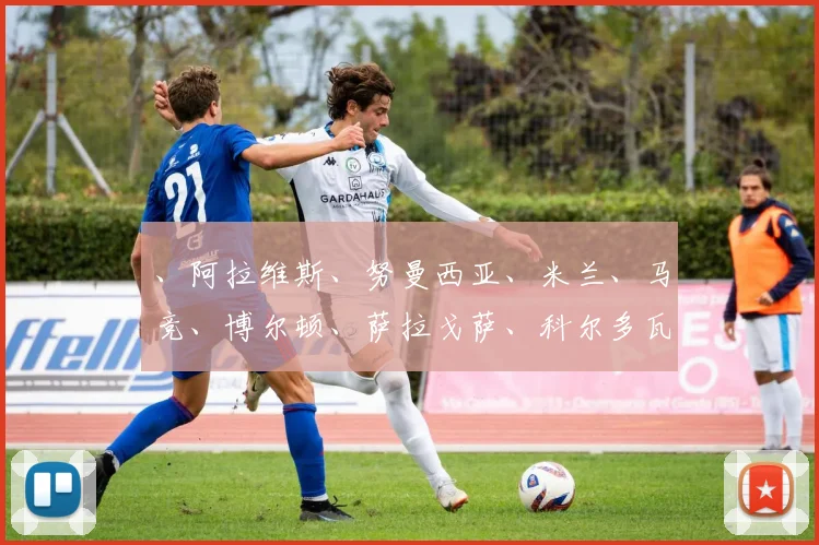 、阿拉维斯、努曼西亚、米兰、马竞、博尔顿、萨拉戈萨、科尔多瓦等球队效力