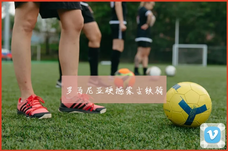 罗马尼亚硬撼蒙古铁骑