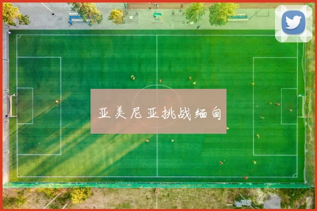 亚美尼亚挑战缅甸