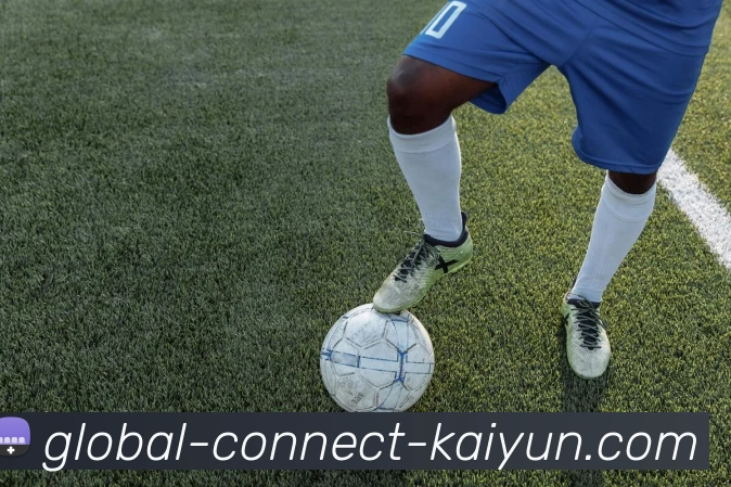 开云Kaiyun体育首页登录入口平台生态图