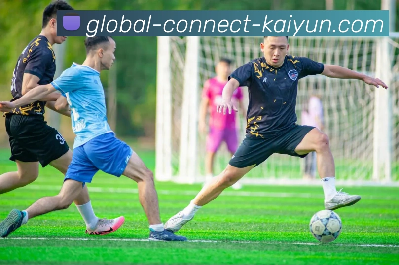 开云Kaiyun体育首页登录入口APP 封面图