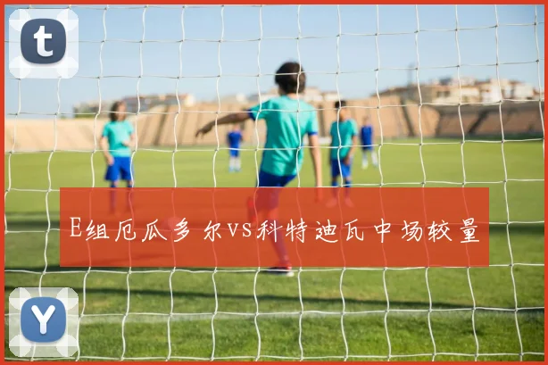 E组厄瓜多尔vs科特迪瓦中场较量