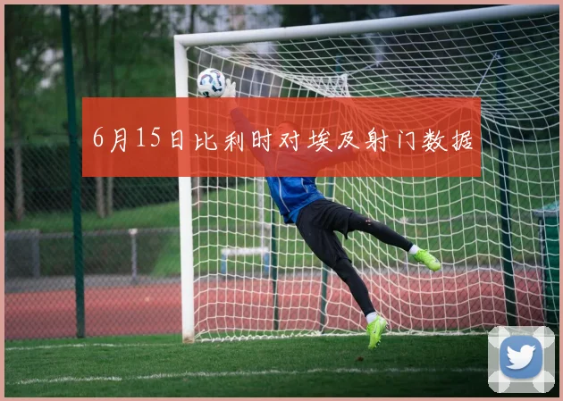 6月15日比利时对埃及射门数据